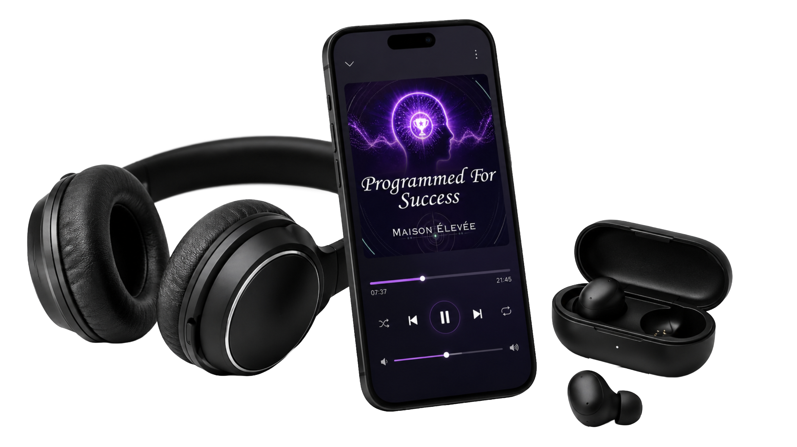 Programmed for Success Audiobook